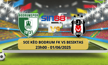 Logo Bodrumspor Besiktas